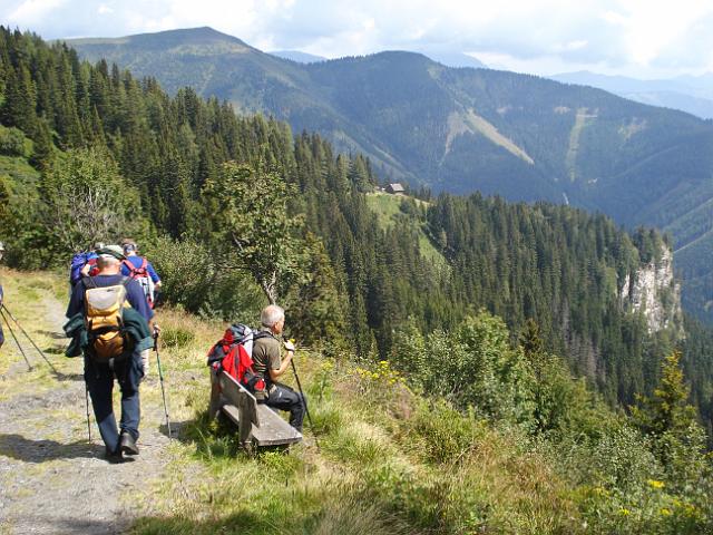 34 kurz vor der Beisteiner Alm.JPG